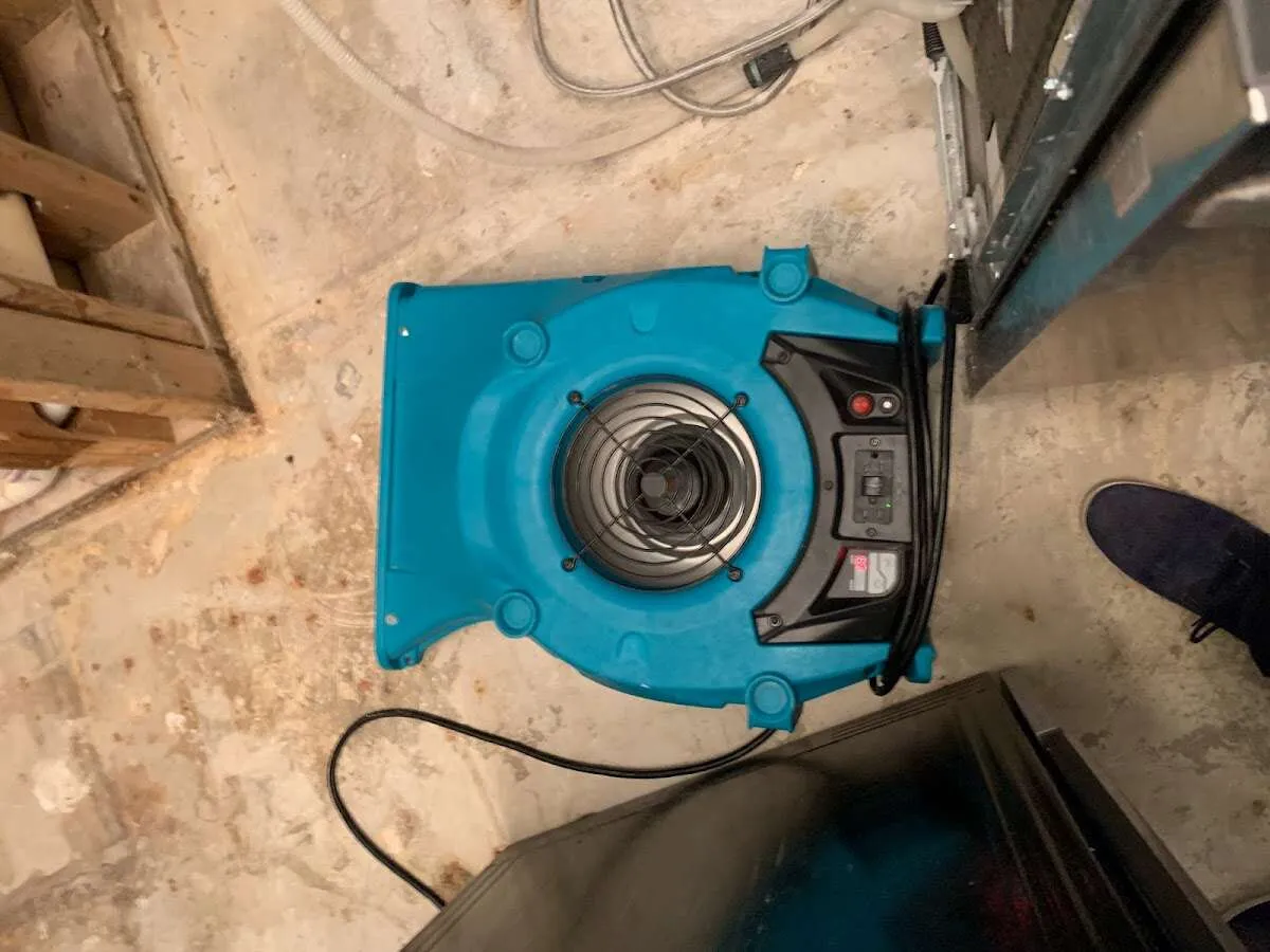 Air mover drying equipment for Mold Remediation & Removal in Wahpeton